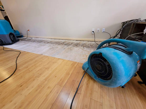 Professional Sewage Cleanup technician working in Gypsum, CO